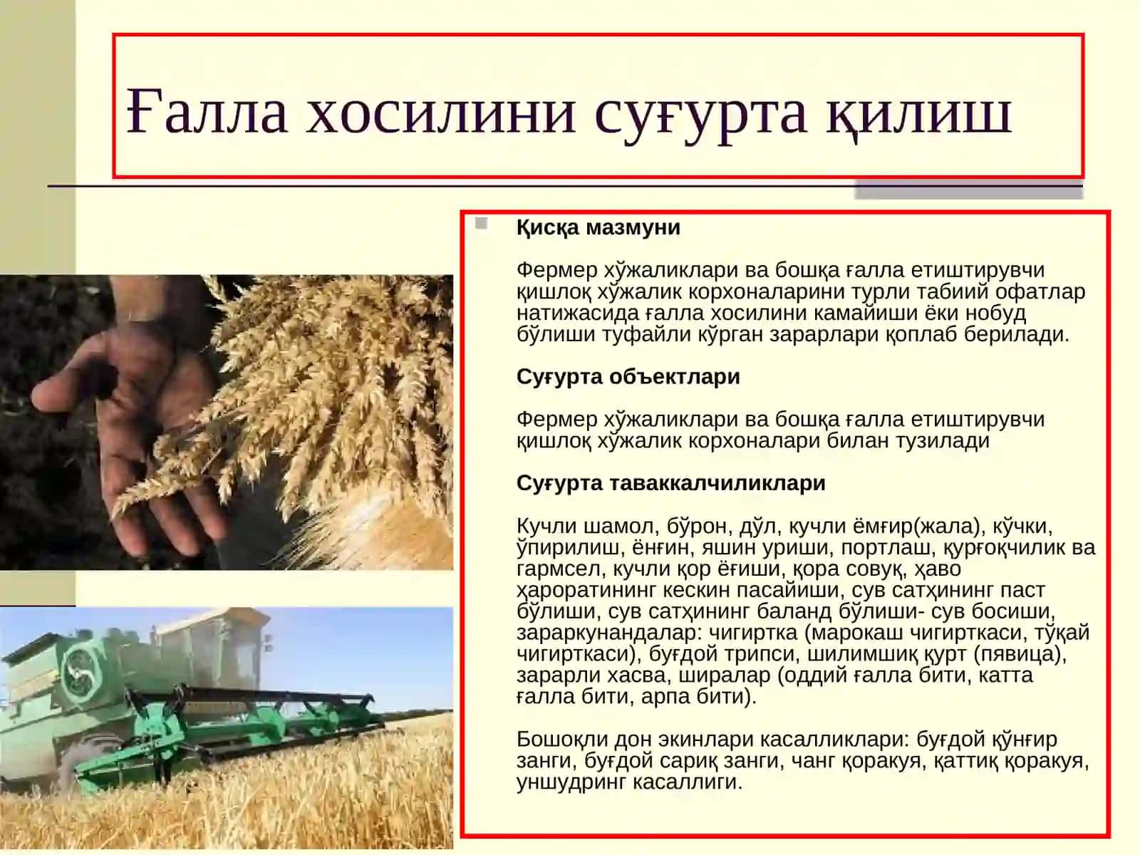 Қишлоқ хўжалиги суғуртаси 4