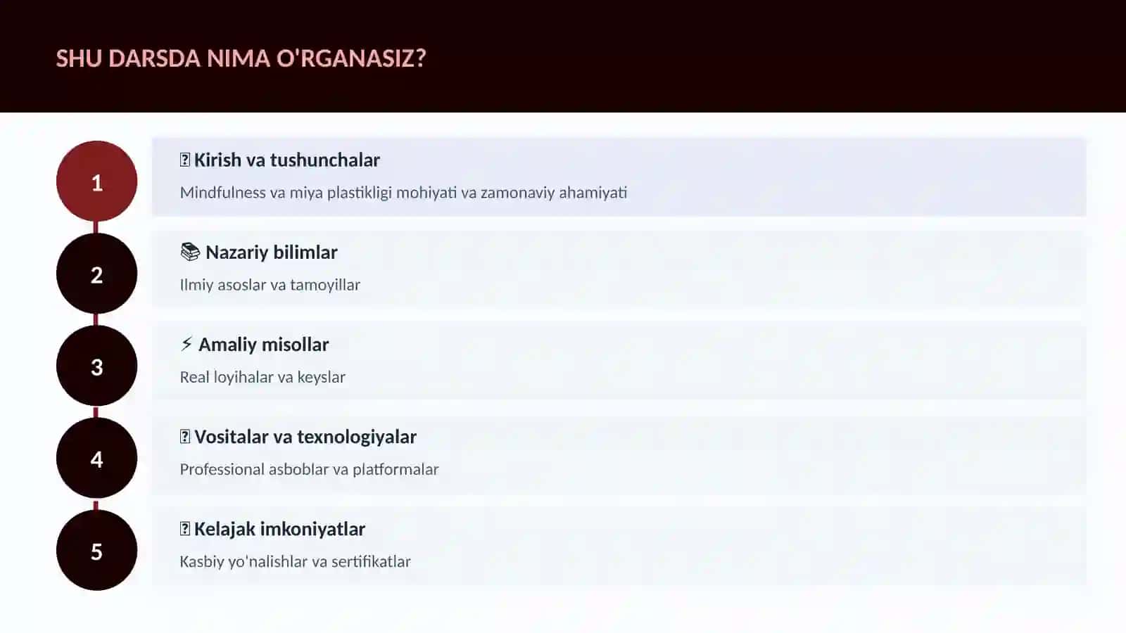 Mindfulness va miya plastikligi 4