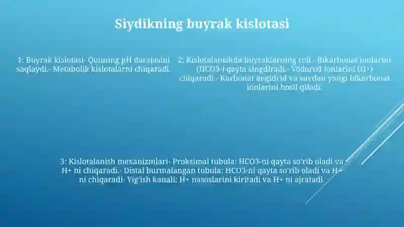 Kislota Asos Muvozanatini Saqlashda Buyraklarning Roli 4