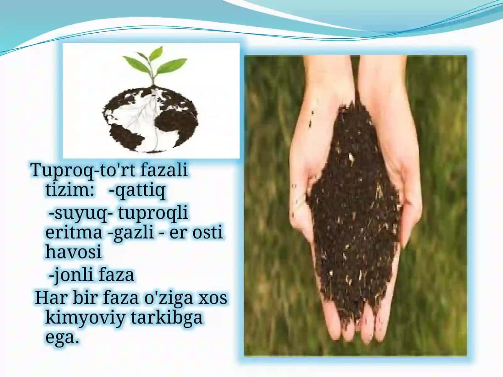 O’zbekiston Milliy Universiteti Biologiya Agrokimyo va Agrotuproqshunislik yo’nalishi 4