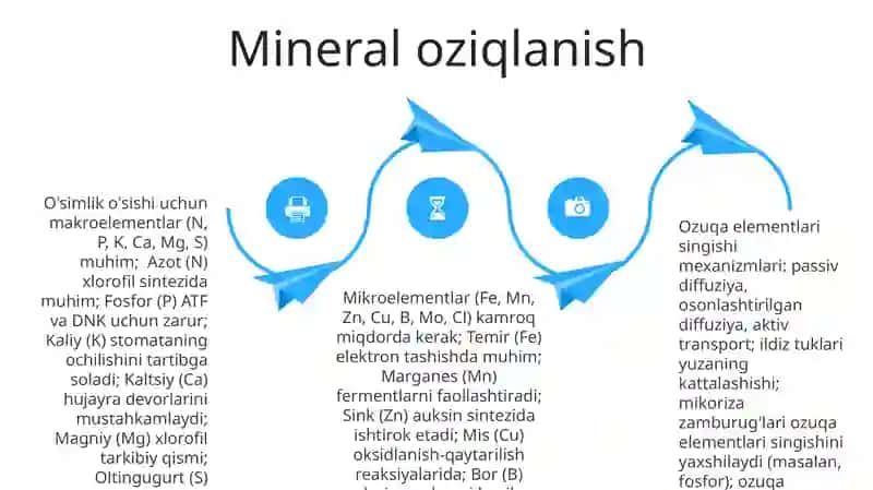 Silos, sinajbop o'simliklar fiziologiyasi 4