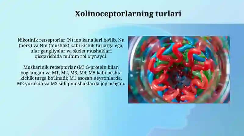 Xolinoretseptorlar 4