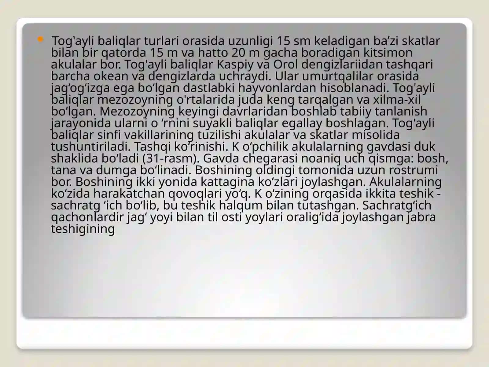 Baliqlarkattasinfi 4