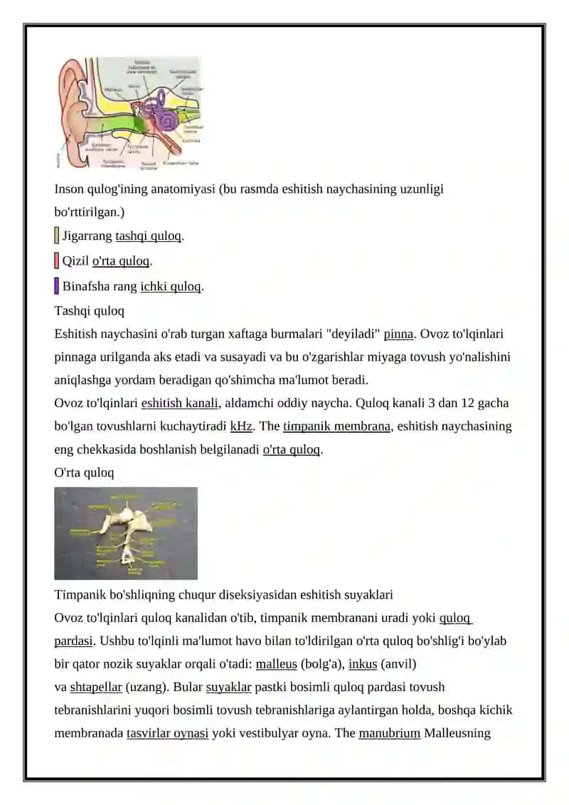 ESHITISH SISTEMASINING FIZIK HUSUSIYATLARI 4