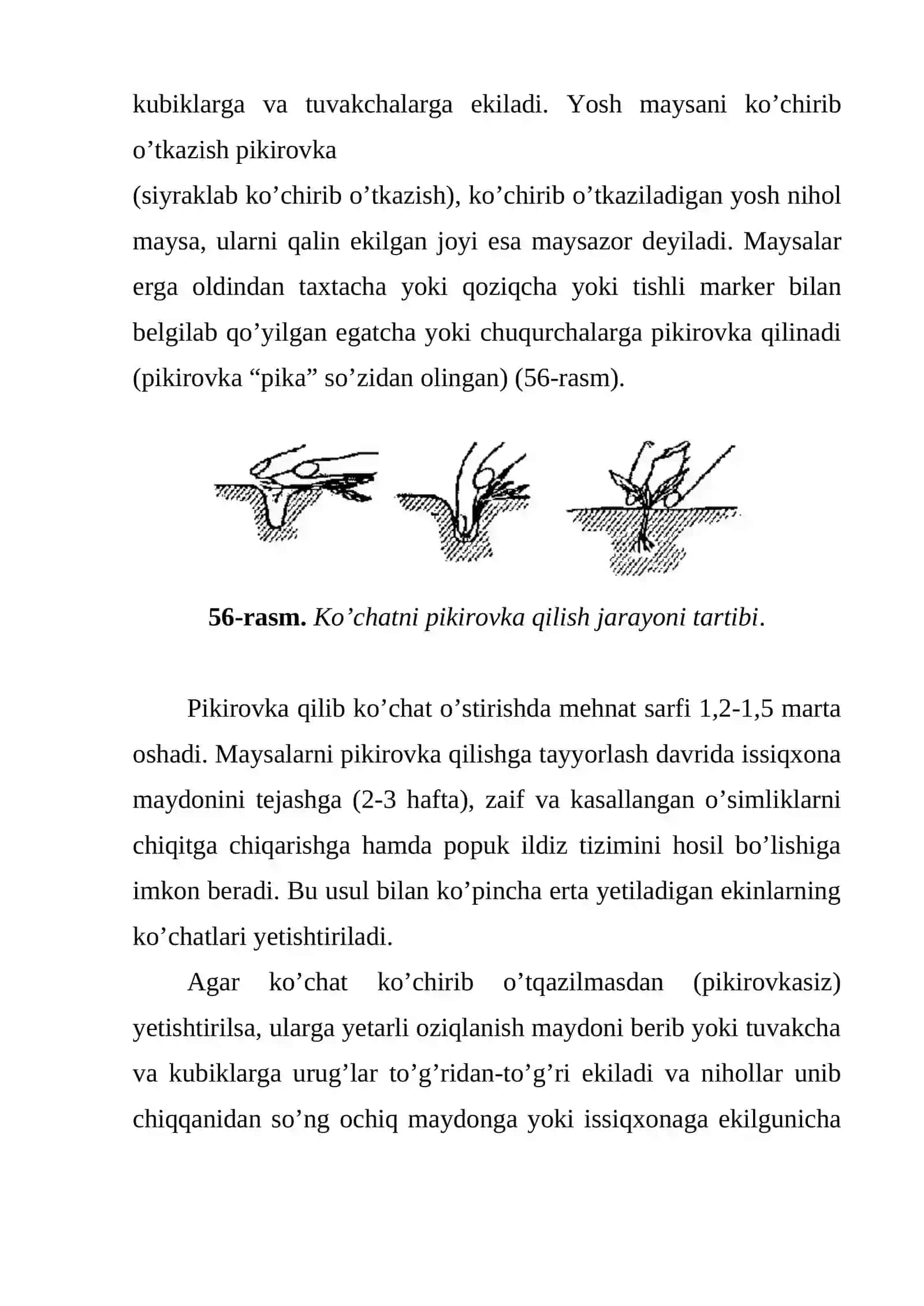 Ko’chat yetishtirish sharoitlari va jihozlar 4