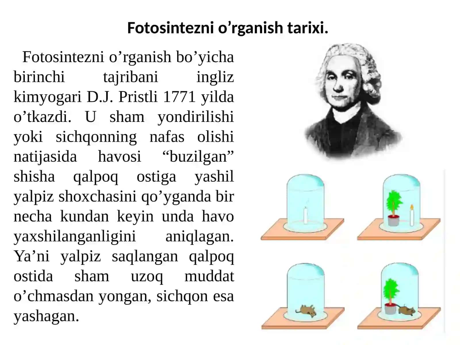 Fotosintez va pigmentlar. Fotosintezning yorug’lik va qorong’ulik reaksiyalari. 4