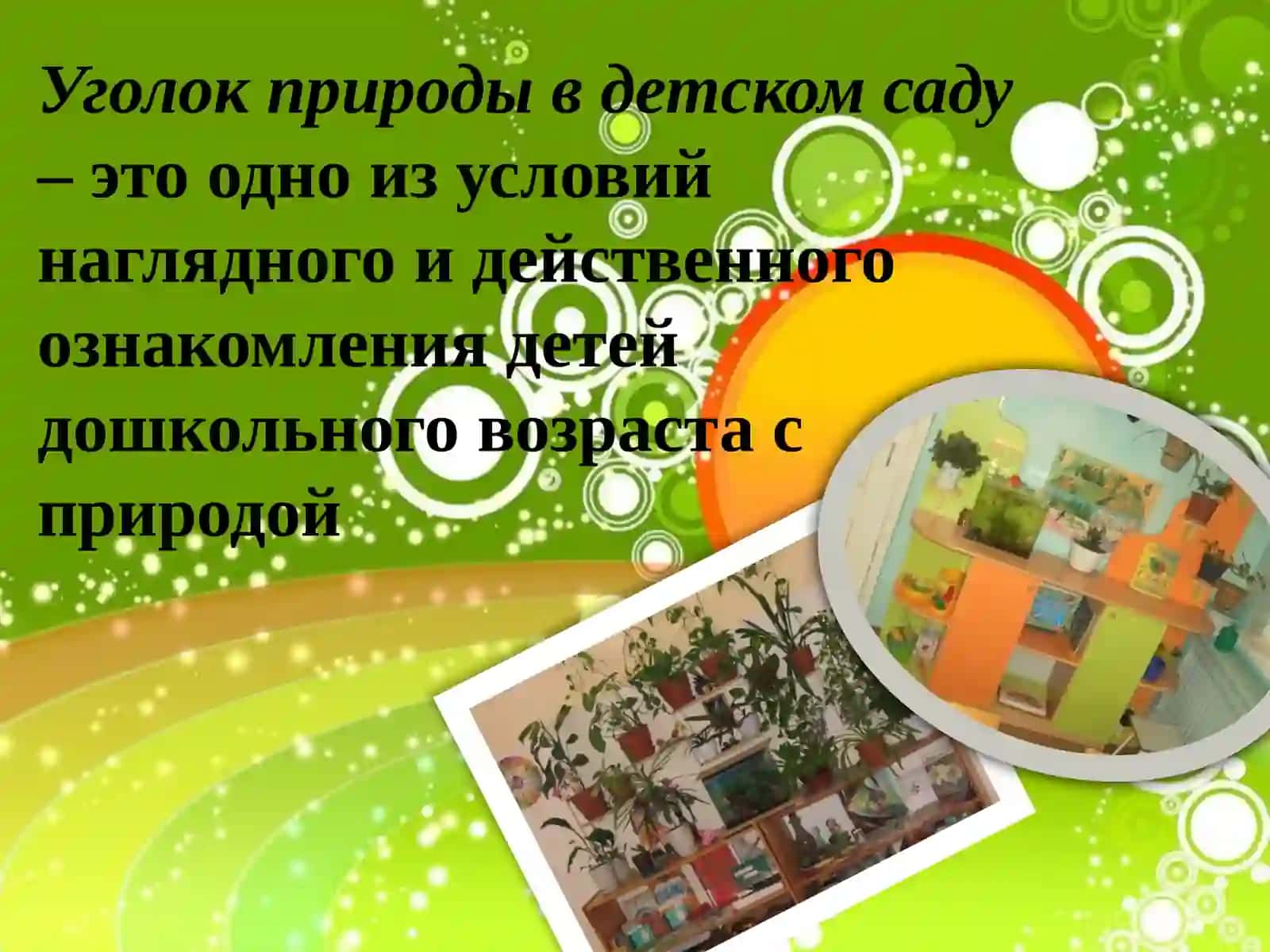 Мир вокруг нас!!! 4