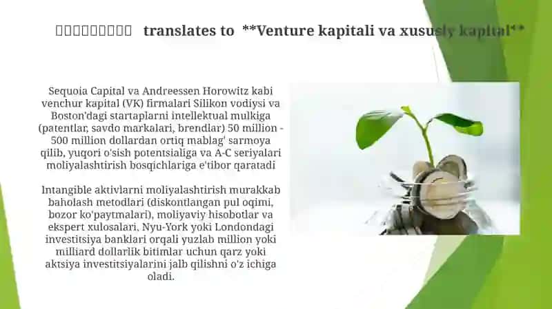 Nomoddiy aktivlarga safarbar etilgan investitsiyalarni moliyalashtirish 4