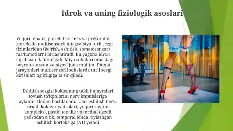 Diqqat va sezgi haqidagi tushuncha uning nerf fiziologik asoslari 4