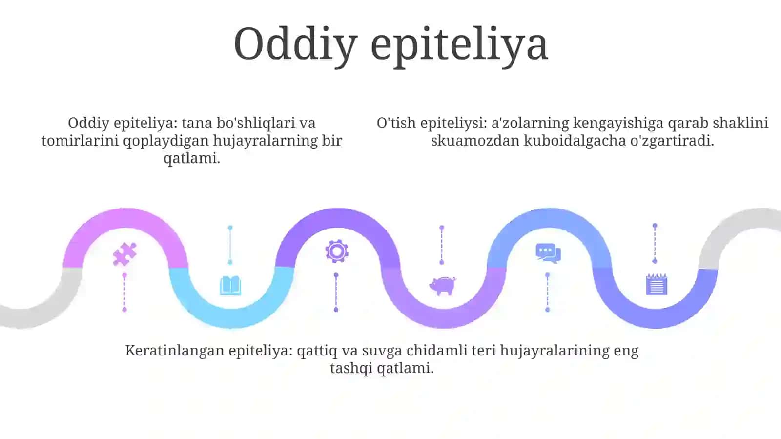 Turli Xil ToʻQimalar Epiteliy Hujayralari Xarakteristikasi 4