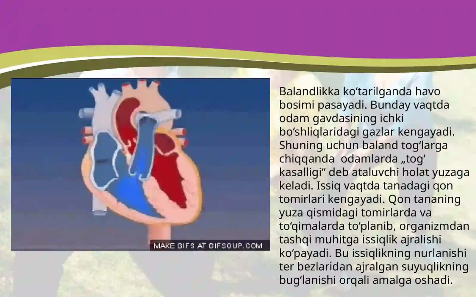 Tashqi muhit omillarining yurak faoliyati va qon bosimiga ta’siri 4