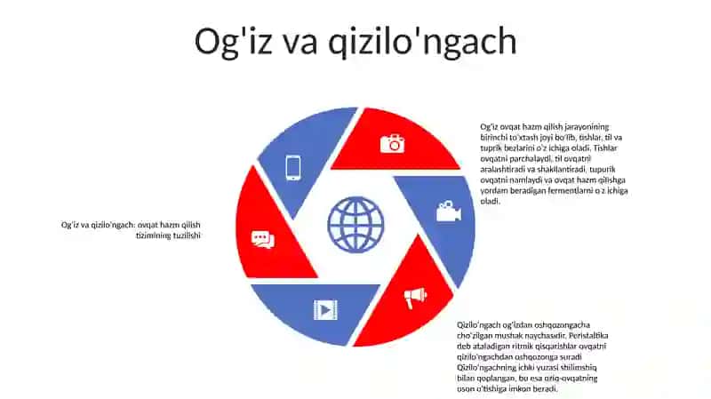 Bolalar Ovqat Hazm Qilish Sistemasining Tuzilishini OʻRganish 4