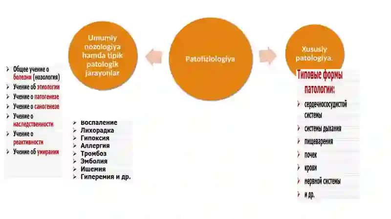 Patologiyafaniga kirish nozologiya 4