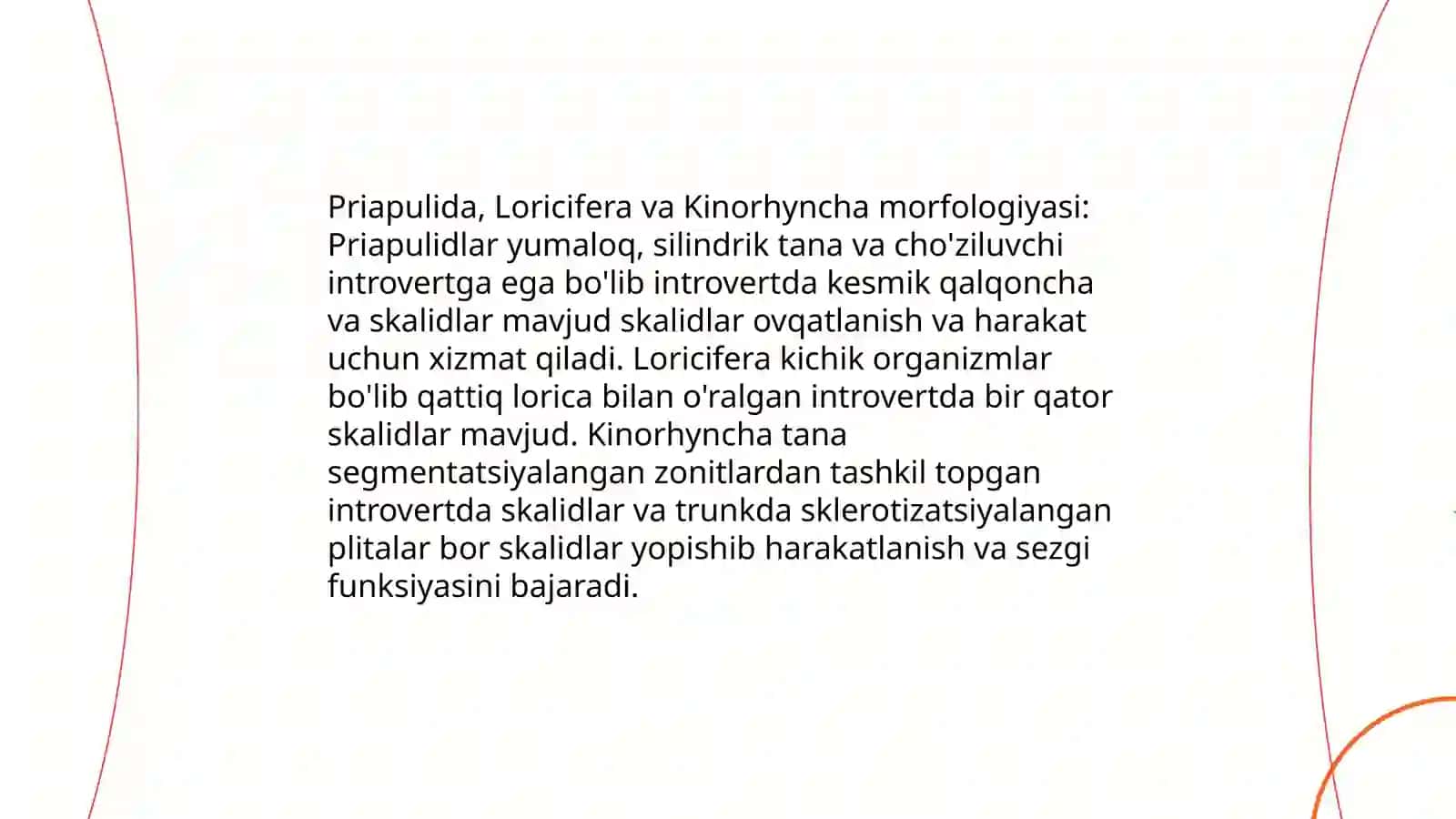 Priapulida Loricifera va Kinorhyncha 4