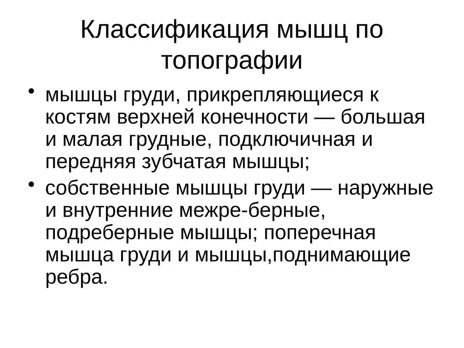 Топография груди 4