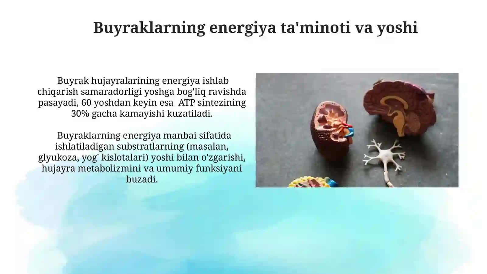 Buyraklarni energiya bilan taminlashning asosiy yo'llari 4