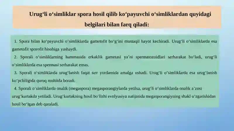 Urug‘li O‘simliklar. Qarag‘aytoifa (Ochiq Urug‘lilar) – Pinophyta(Gymnospermae) O‘simliklar Bo‘limi 4