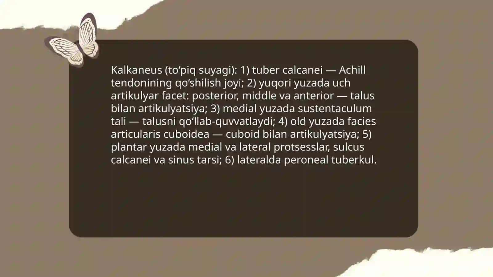 Oyoq skeleti suyagining tuzilishi va birikishi 4
