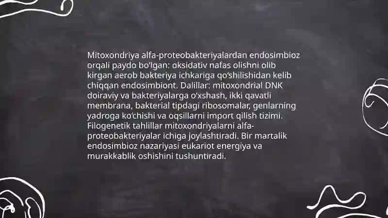 Eukariotlarning kelib chiqishi haqida zamonaviy tasavvurlar 4