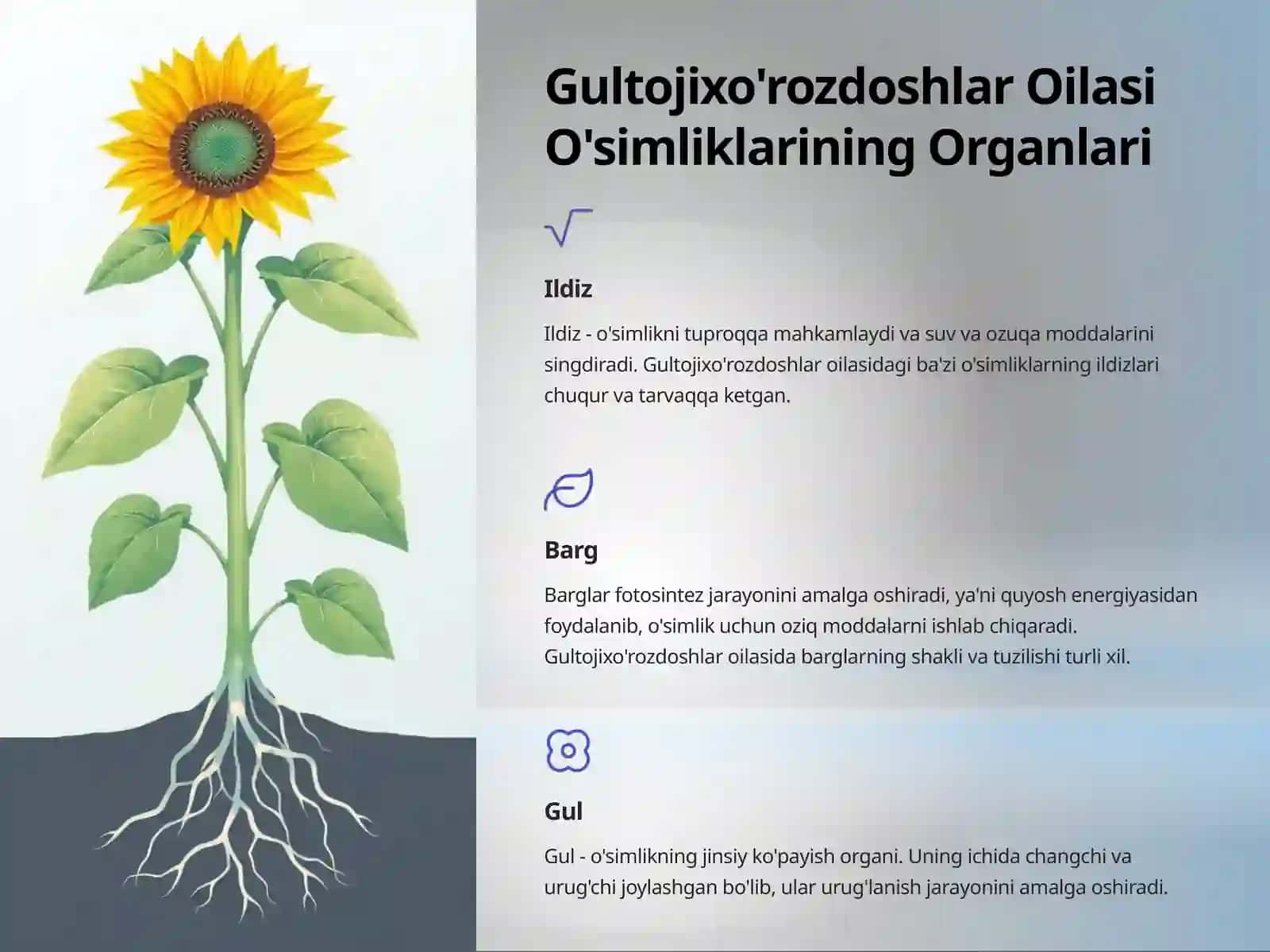 Gultojixo'rozdoshlar Oilasi: Biologiya, Ekologiya va Ahamiyati 4