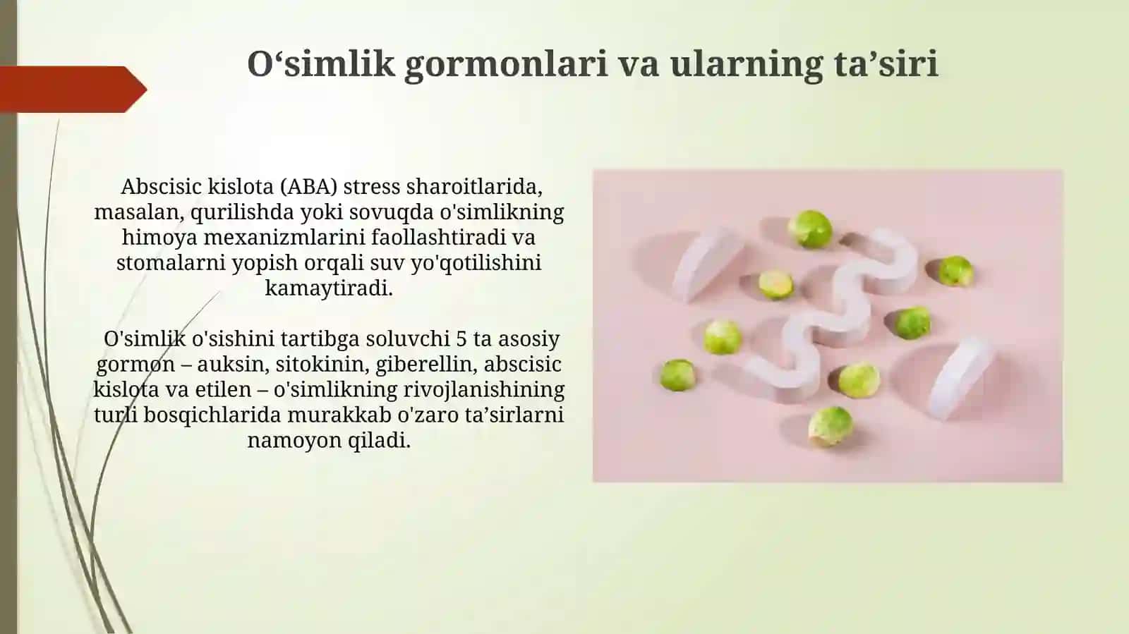 O'simliklar metabolizmi va ularning kimyoviy tarkibi 4