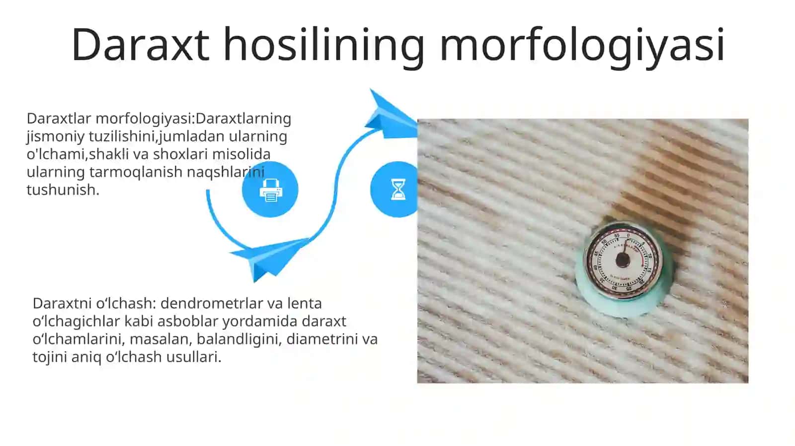 Axborotlarni O'Lchash Va Tasvirlash 4