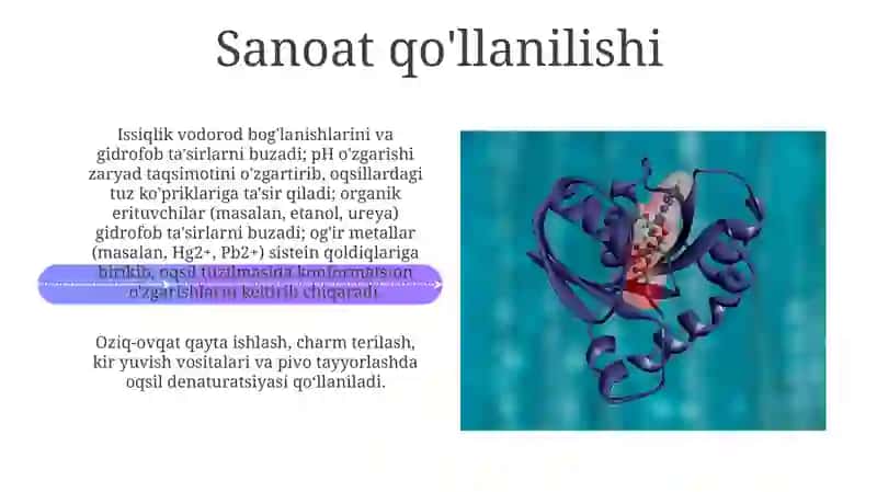 Denaturatsiyasi va uning biologik ahamiyati 4