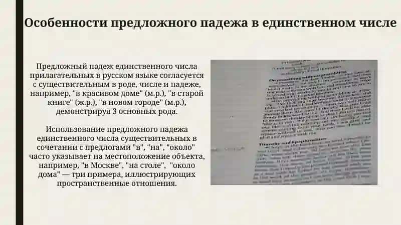 Формы предложного падежа имен существительных 4
