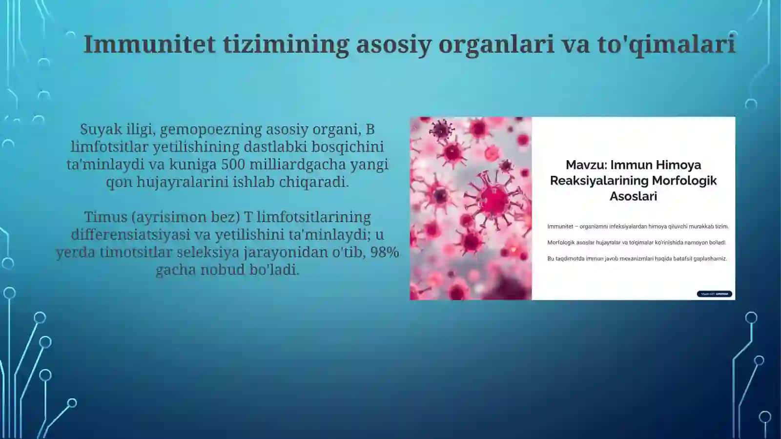 Immun himoya reaksiyalarining morfologik asoslari 4