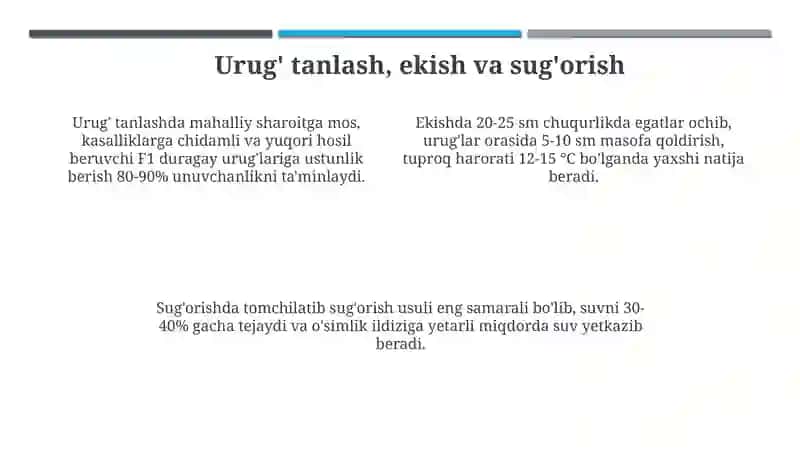 Issiqxona sabzavotchiligi 4