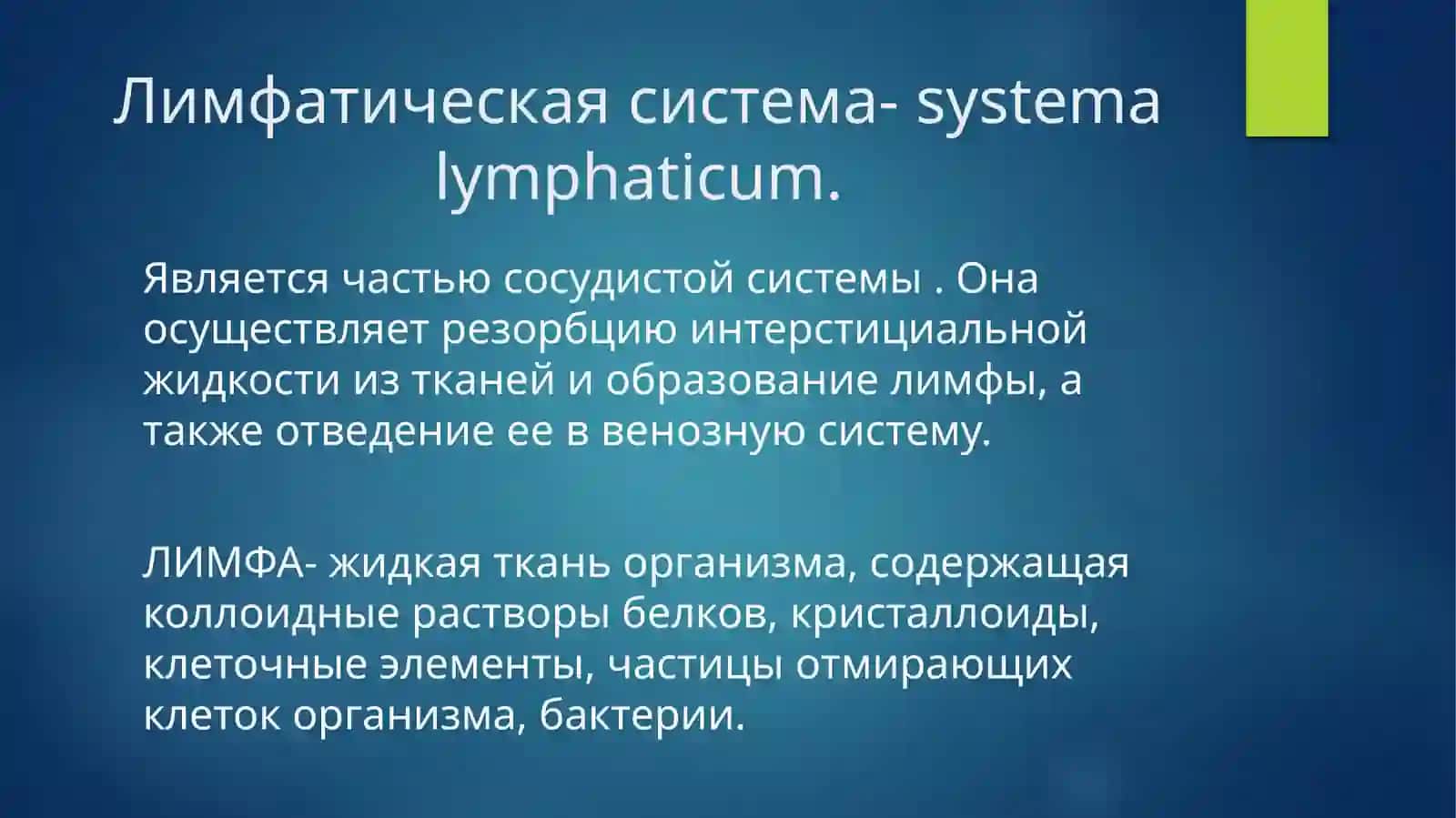 Функциональная анатомия лимфатической системы 4