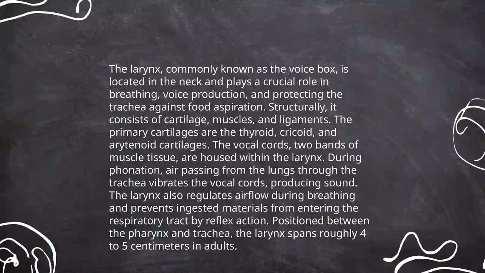 Speech organs and their functions 4