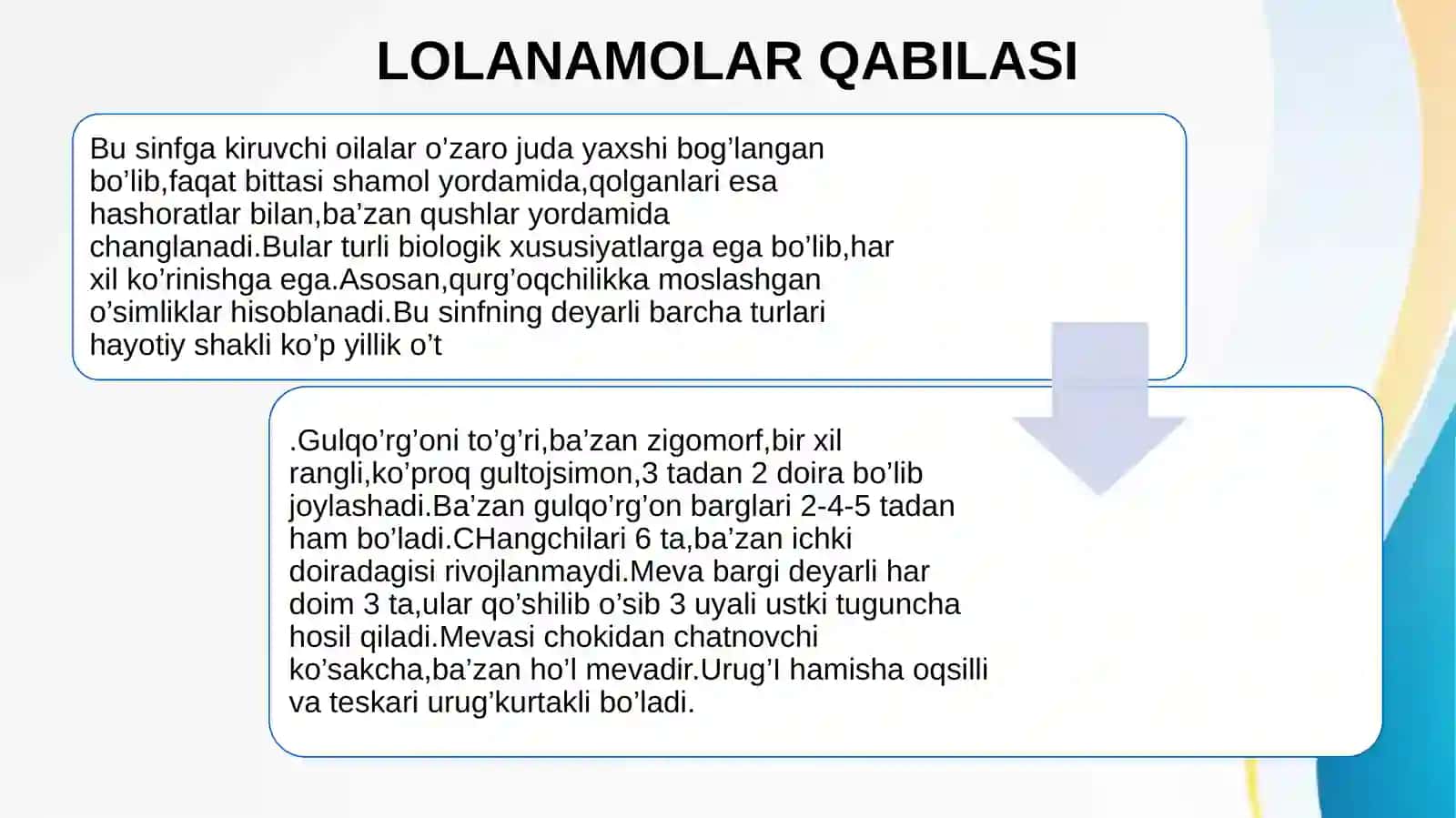 Loladoshlar oilasidan 4