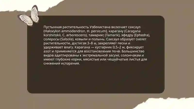 Флора и Фауна Узбекистана 4