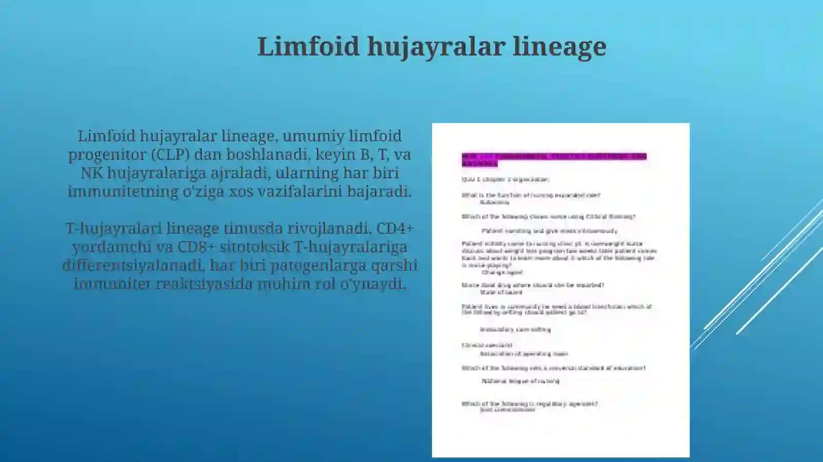 Limfotsitopoez 4