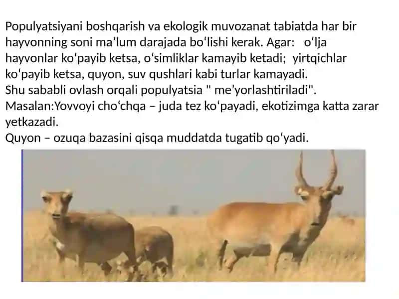 Sut emizuvchilarning ovchilikda ahamiyati 4