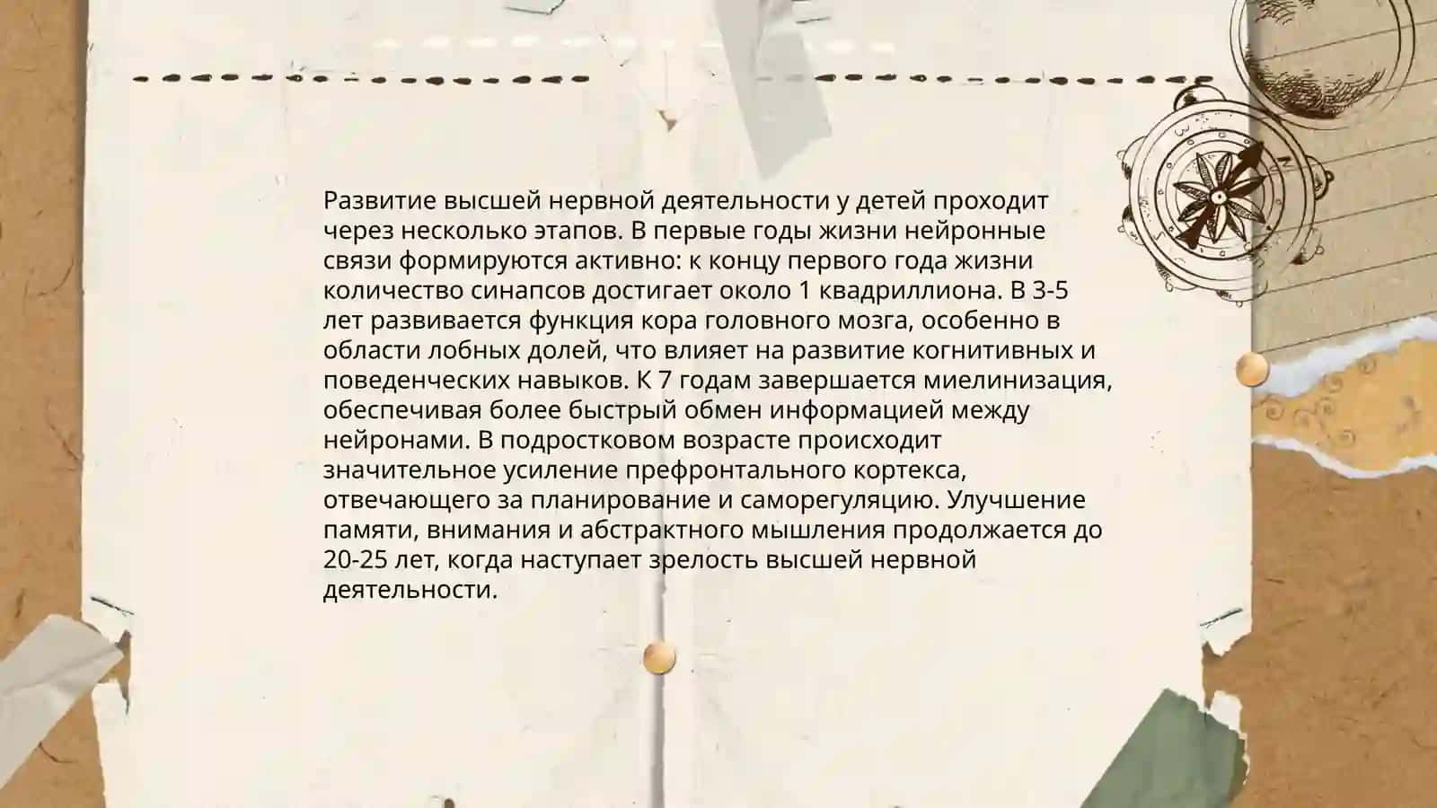 Возрастные особенности высшей нервной деятельности 4