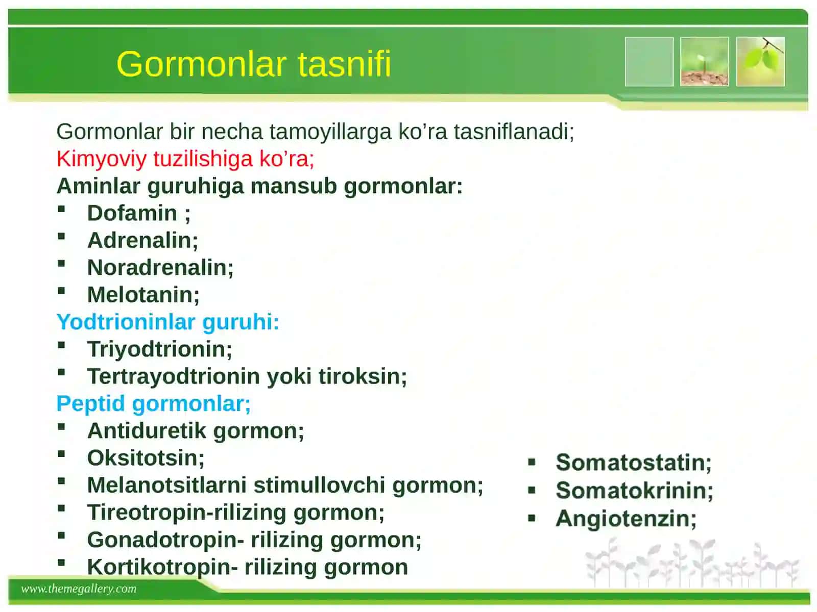 Ichki sekretsiya bezlari fiziologiyasi 4