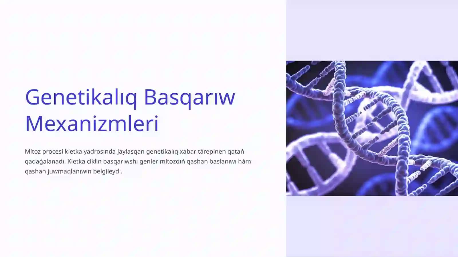Mitoz bóliniw hám ogan tásir etiwshi genetikalıq hám ekologiyalıq faktorlar 4