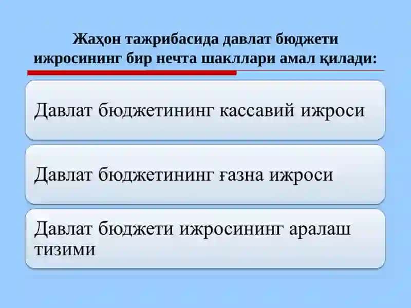 Давлат бюджетининг ғазна ижроси тўғрисида тушунча 4