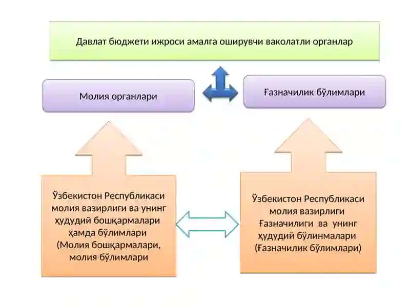 Молия органлари, Ғазначилик 4