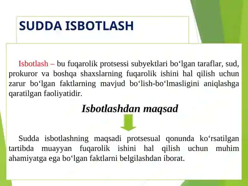 Fuqarolik protsessida isbotlash va dalillar 4