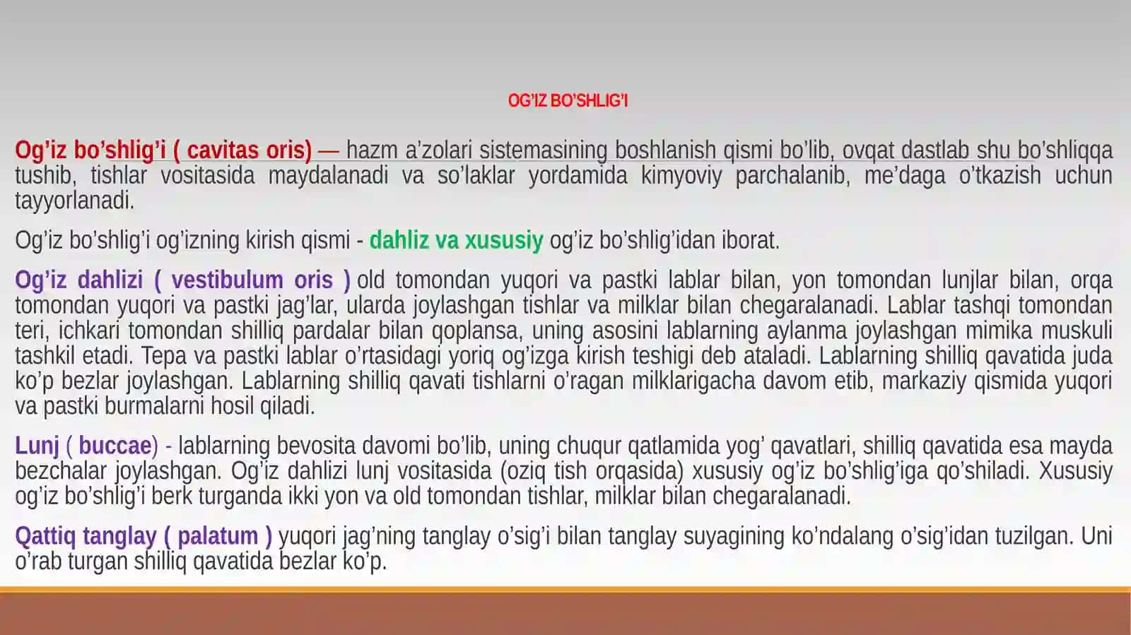 TIBBIY FUNDAMENTAL FANLAR KAFEDRASI№1MA’RUZA:Splanxnologiyagakirish.Og‘izbo‘shlig‘i,tishlar,til,so‘lakbezlari,yumshoqtanglay,Halqum,Pirogovxalqasi 4