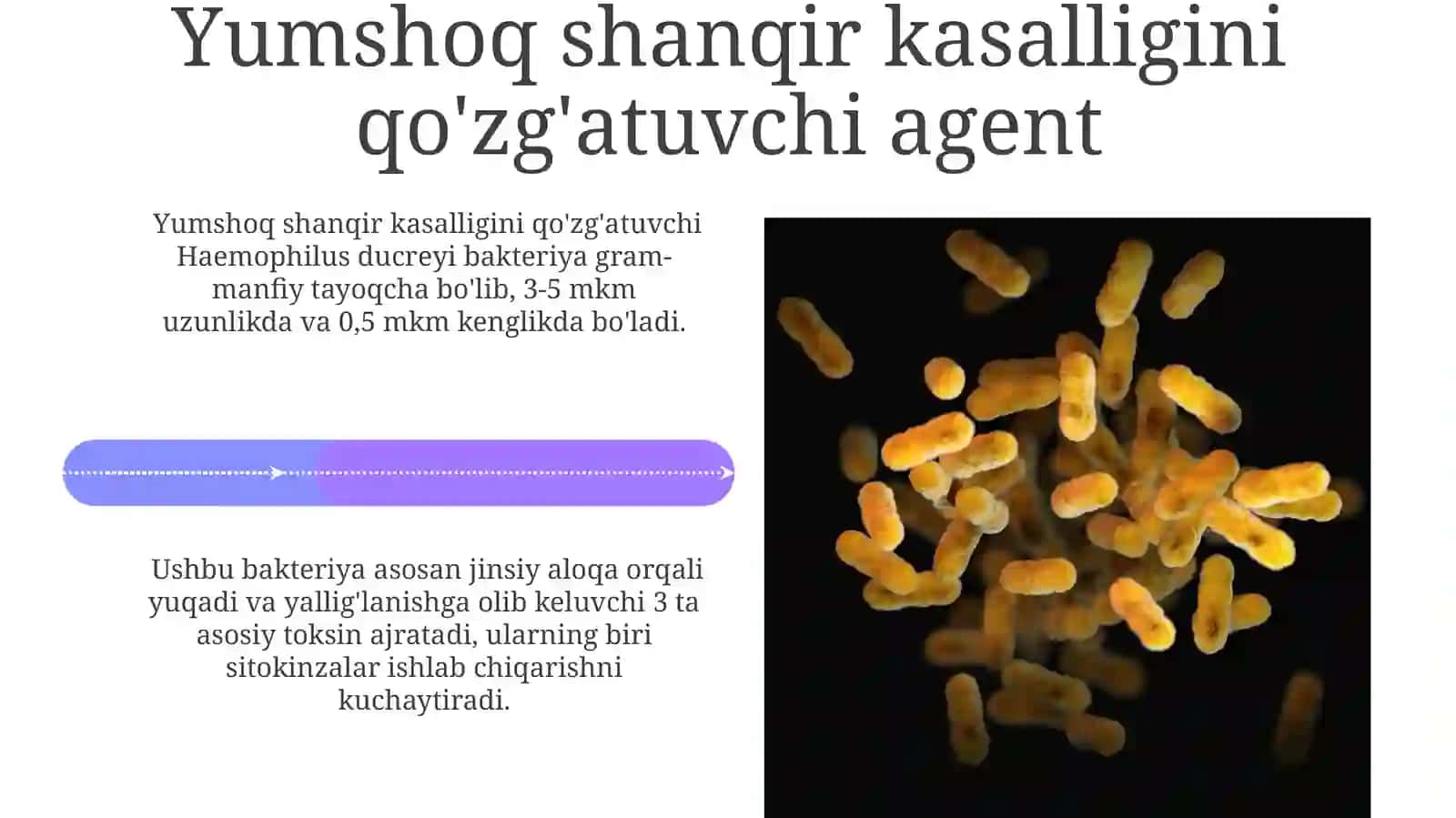 Gemofilbakteriyalari(inflyuensatayoqchasi,yumshoqshankrqo‘zg‘atuvchisi) 4