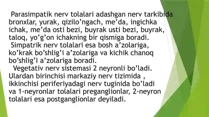 mustaqil ish 4