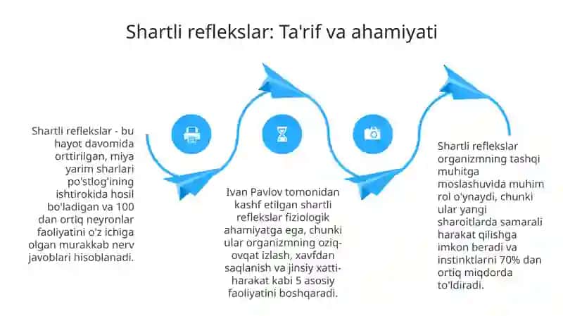 Oliy nerv faoliyatining fiziologik asoslari 4