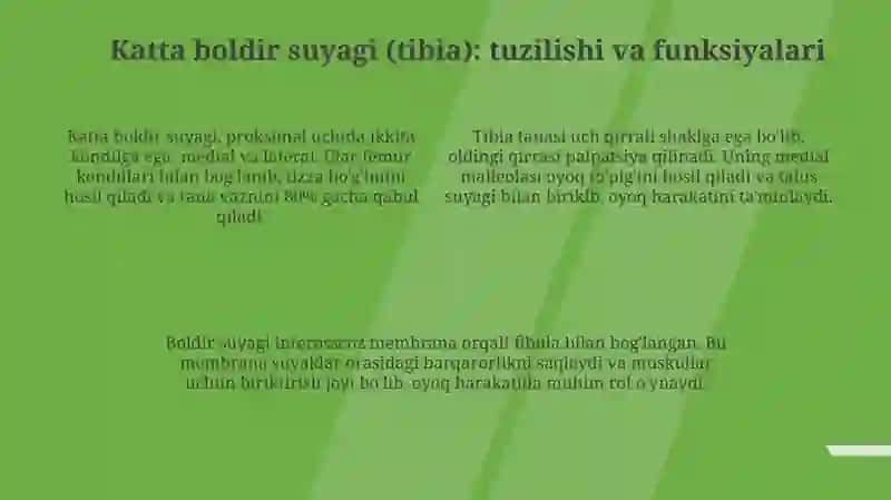 Erkin oyoq suyagi: Umumiy tuzilish va funktsiyalari 4