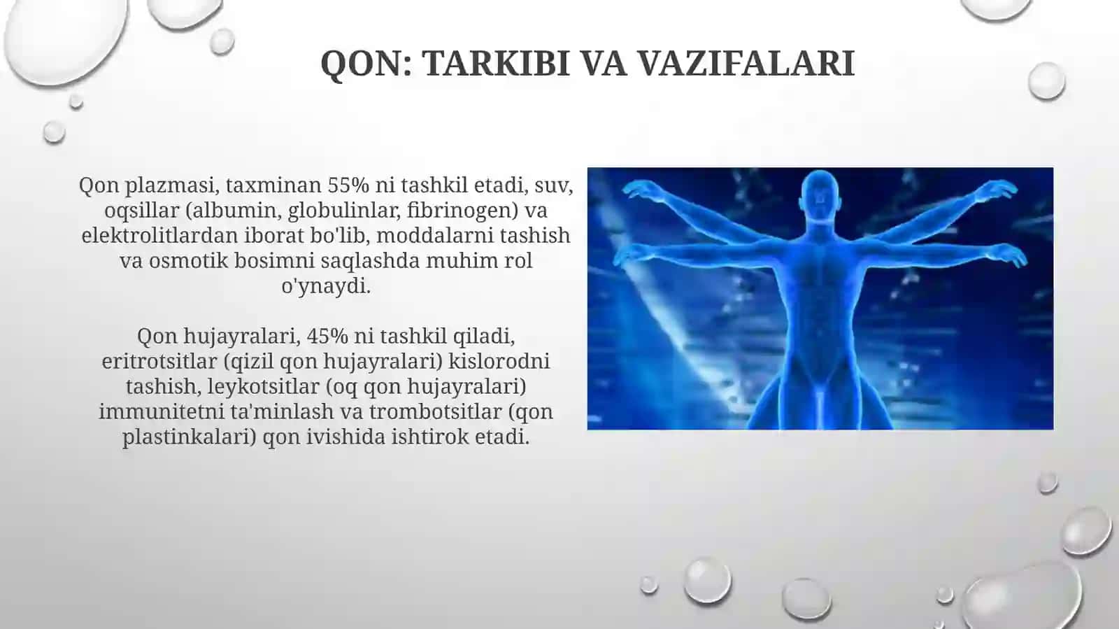 Fizalogiya faniga kirish qon aylanish tizimining fizalogik asoslari 4