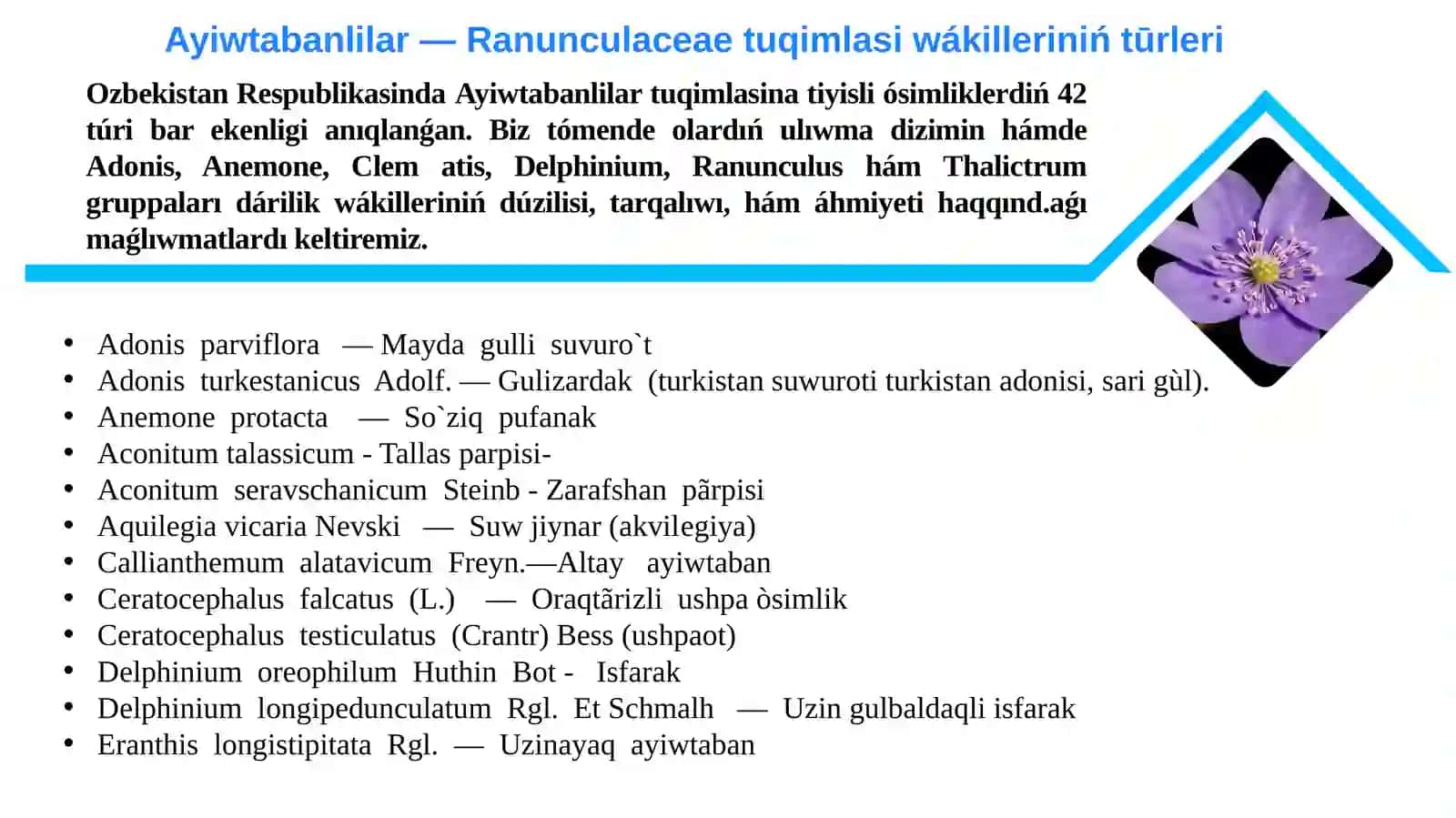 Ayiwtabanlilar tuqimlasi (dárilik tùrleri, biologiyasi, ekologiyasi, areali hám xaliq xojaliǵindaǵi áhmiyeti) 4