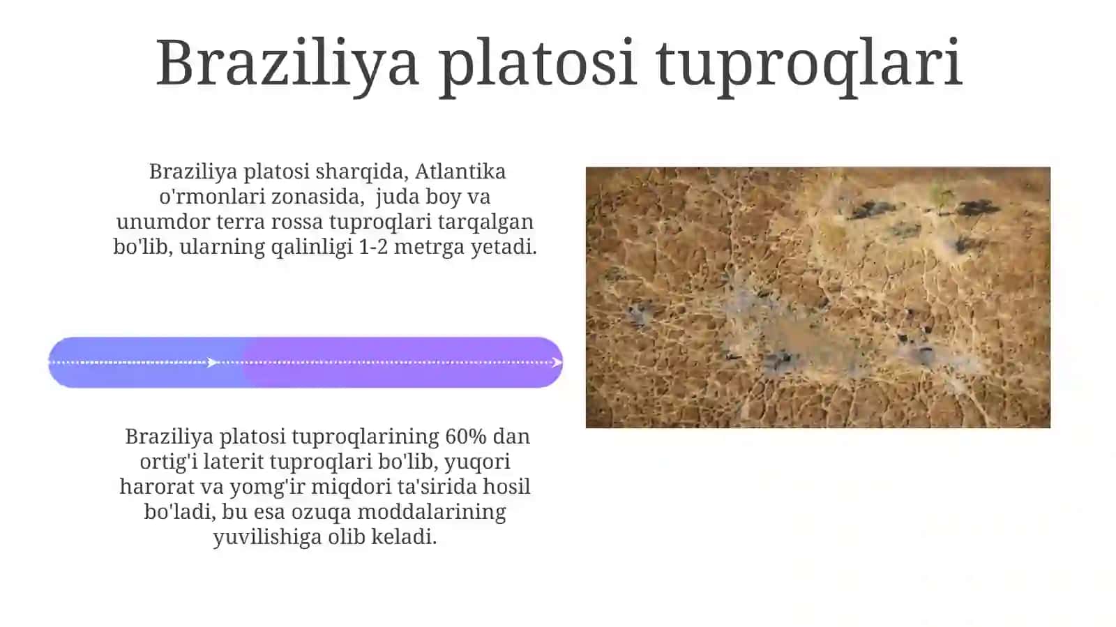 Janubiy Amerikaning tuproqlar geografiyasi 4